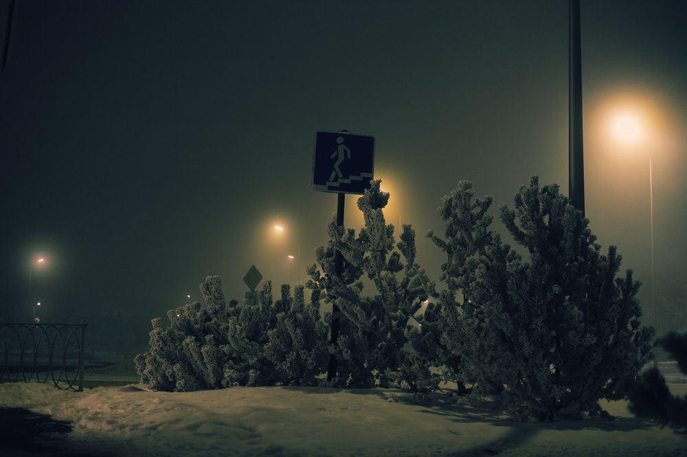 Photograph by Ксения Минаева