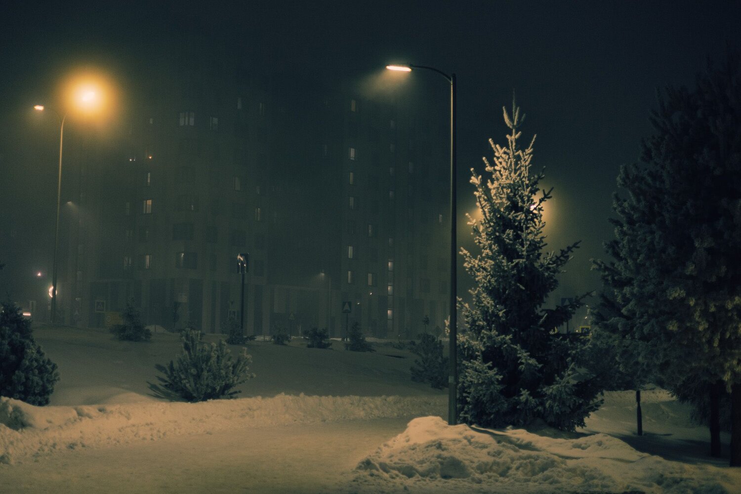 Photo #11858332