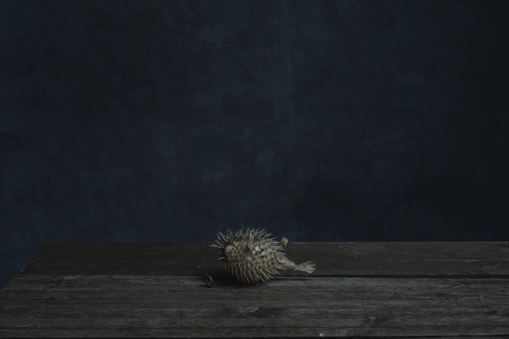 "Моя внутренняя ряба"