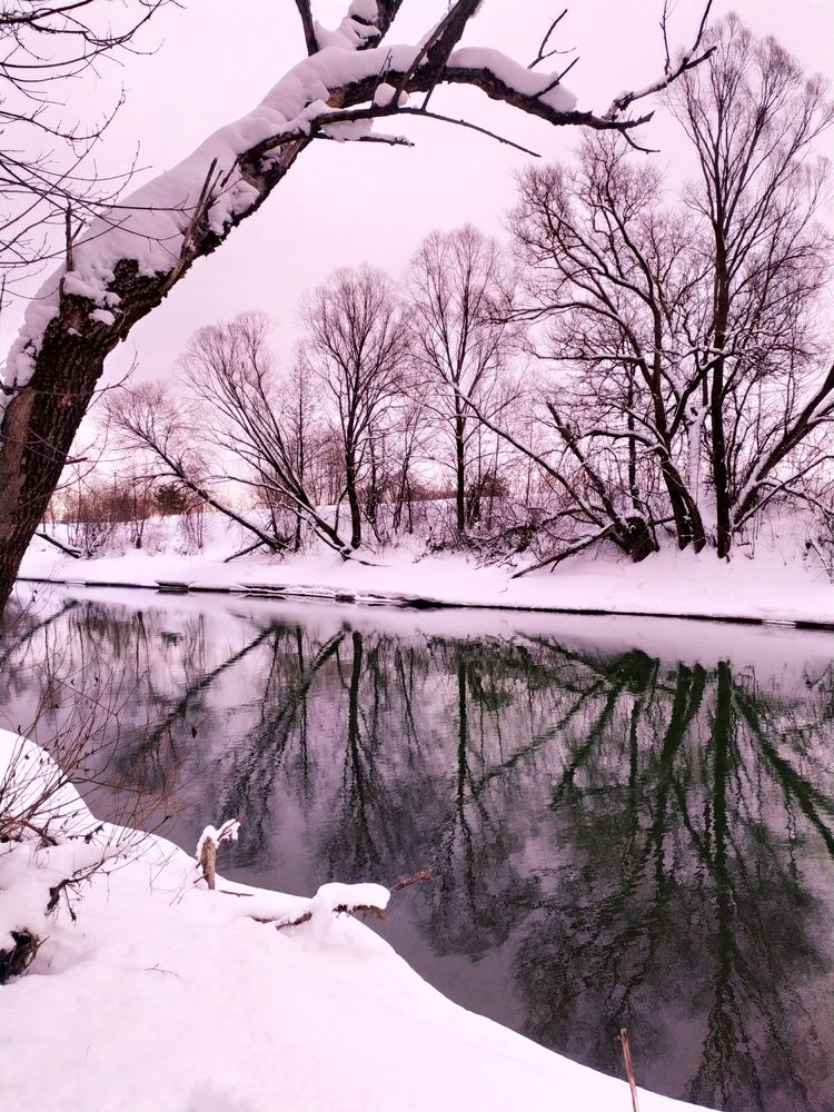 Фотография автора Екатерина Косарева