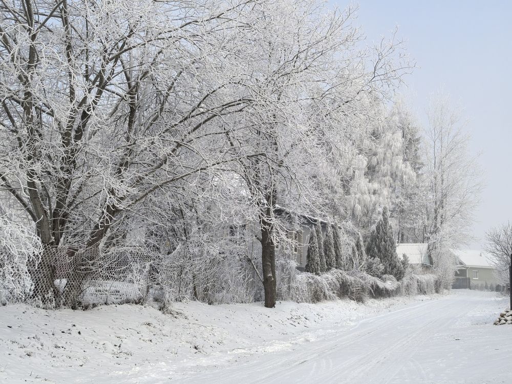 Photograph by Максим Лупач