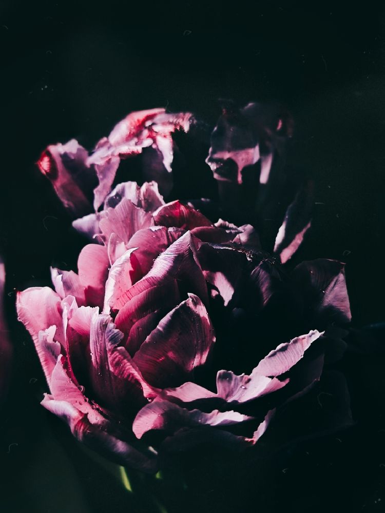 Фотография автора Екатерина Солодовник