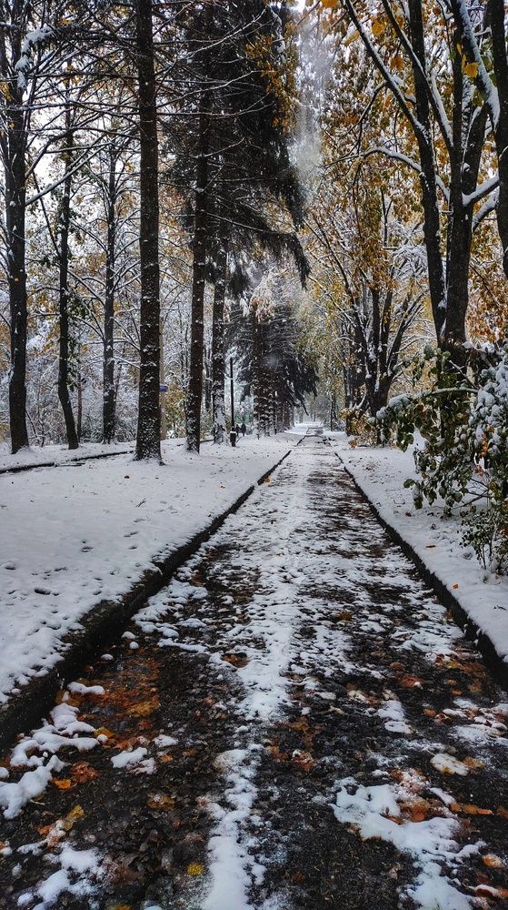 Зимний пейзаж