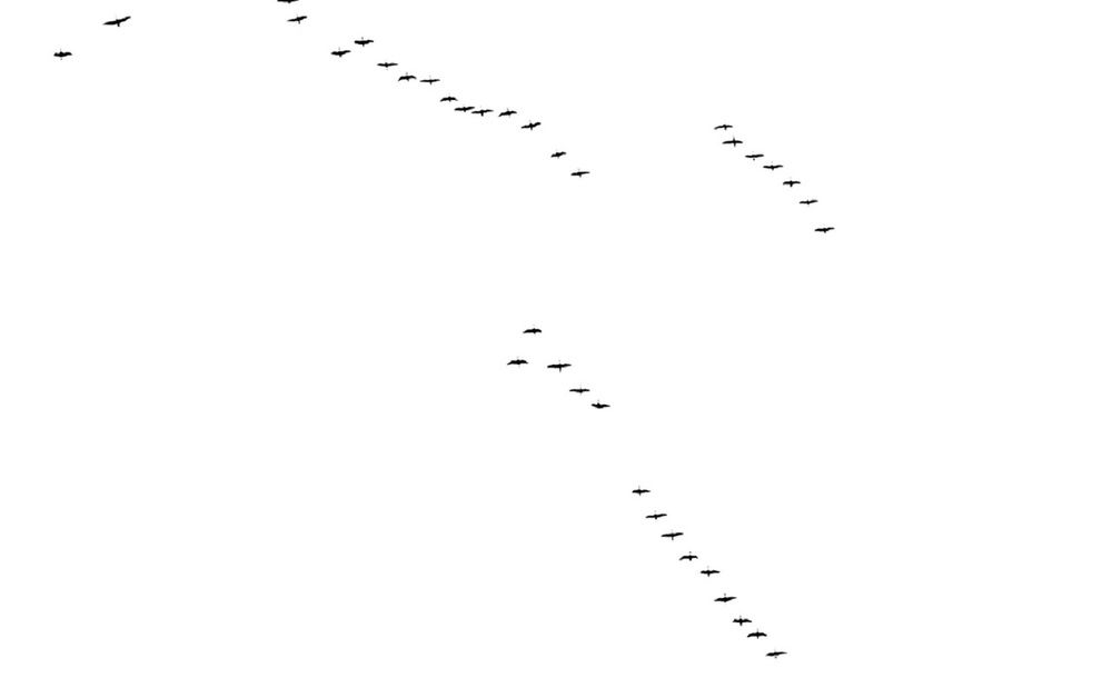 Ну, красавцы, же!