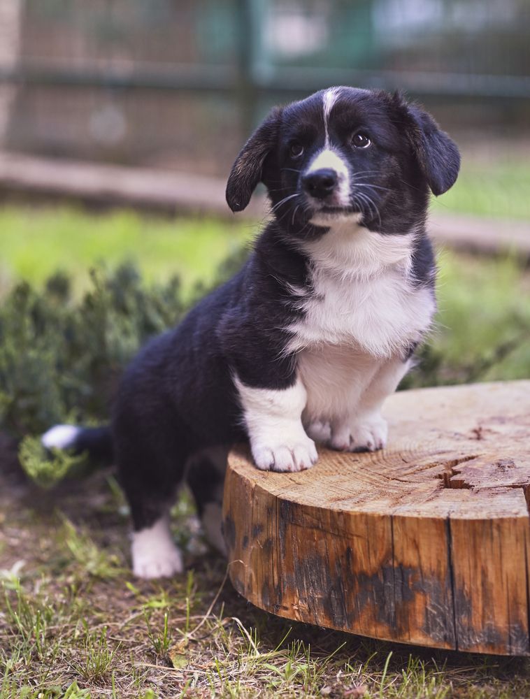 Фотография автора Людмила Капустина