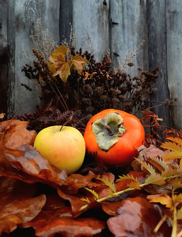 Photograph by Назмутдинова Сауия