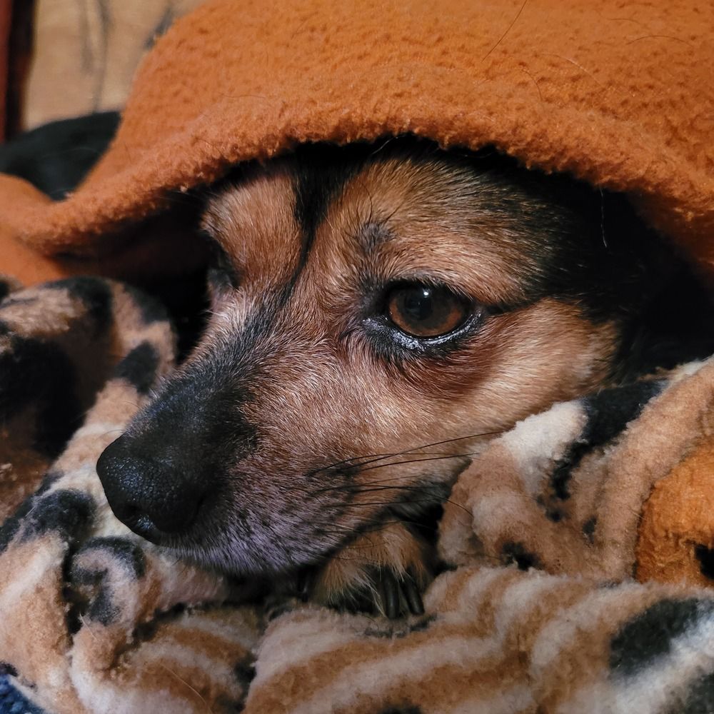 Photograph by Catherine Walter-Prêtre