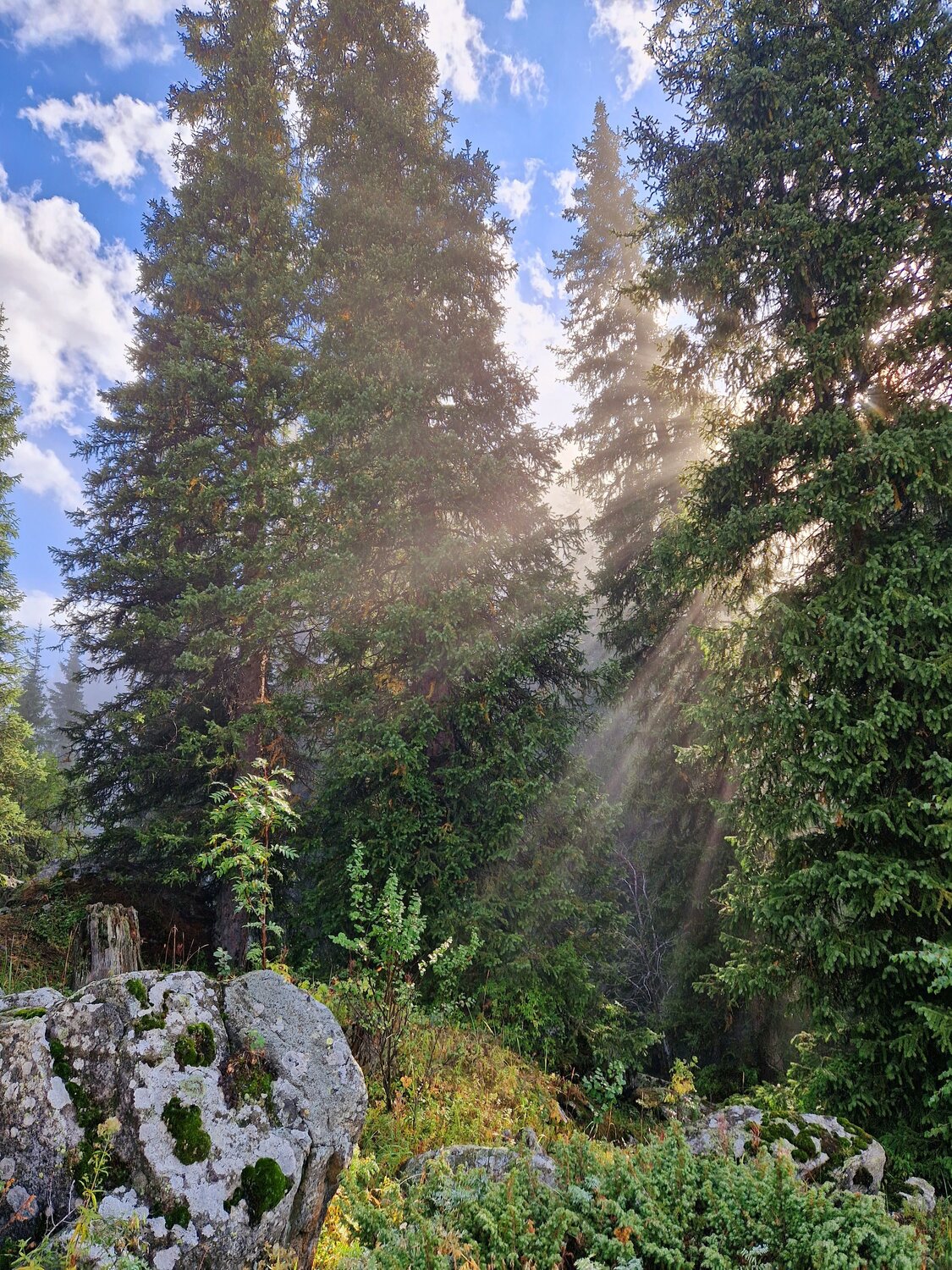 Photo #11858545