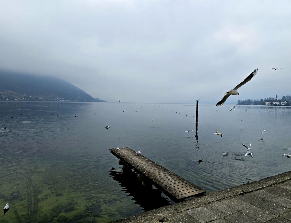 Photograph by Sergiy H