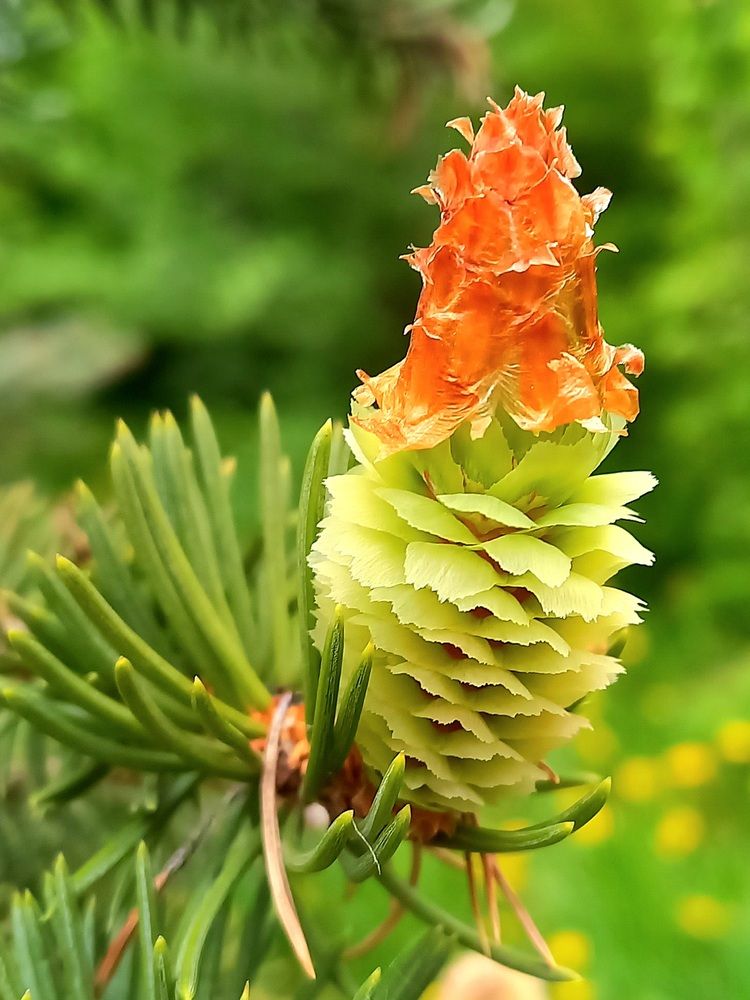 Photograph by Назмутдинова Сауия