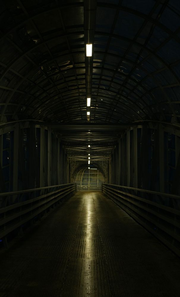 Photograph by Юлия Шипицына