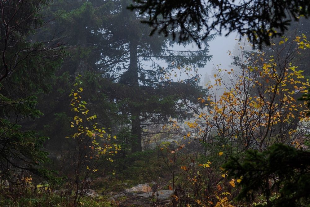 Photograph by Давыдова Гульгена