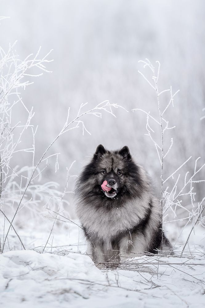 Фотография автора Оксана Серова