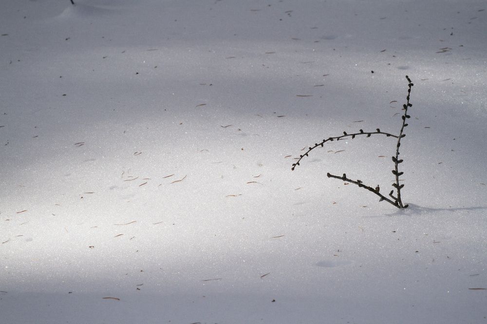 Photograph by ЕЛЕНА Рохо-Фернандес