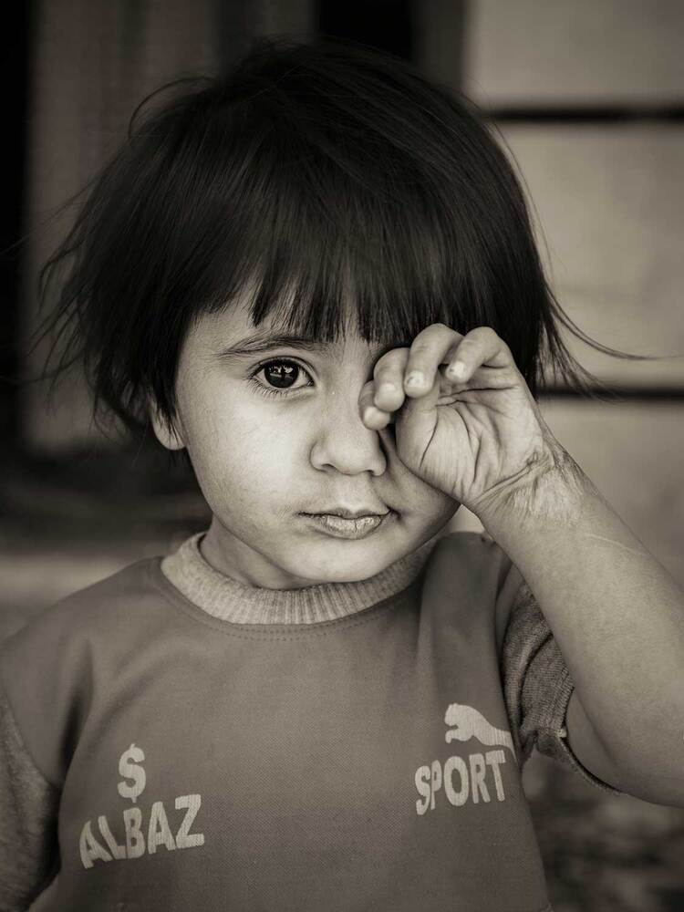 Фотография автора Mohsen Raeiszadeh