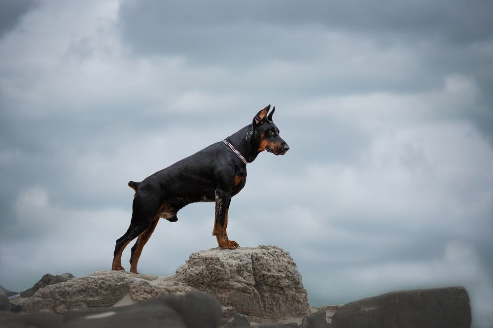 Photograph by Людмила Потапочкина