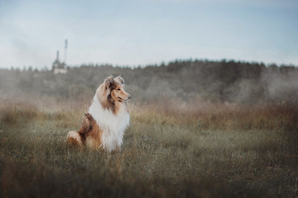 Photograph by Людмила Потапочкина