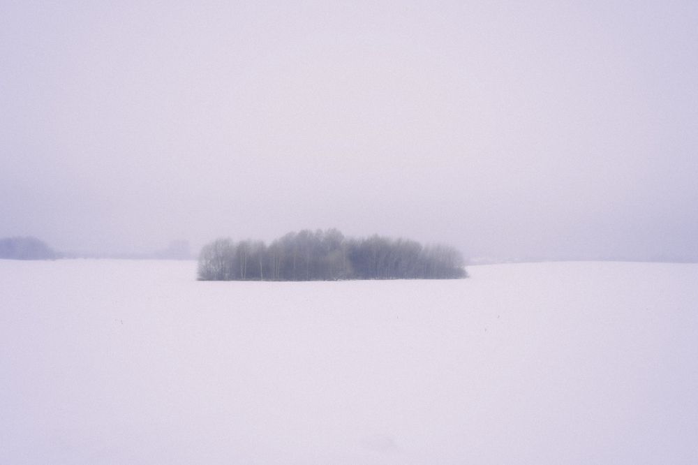 Photograph by Svetlana Reshetnikova