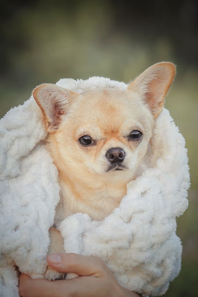 Photograph by Людмила Потапочкина