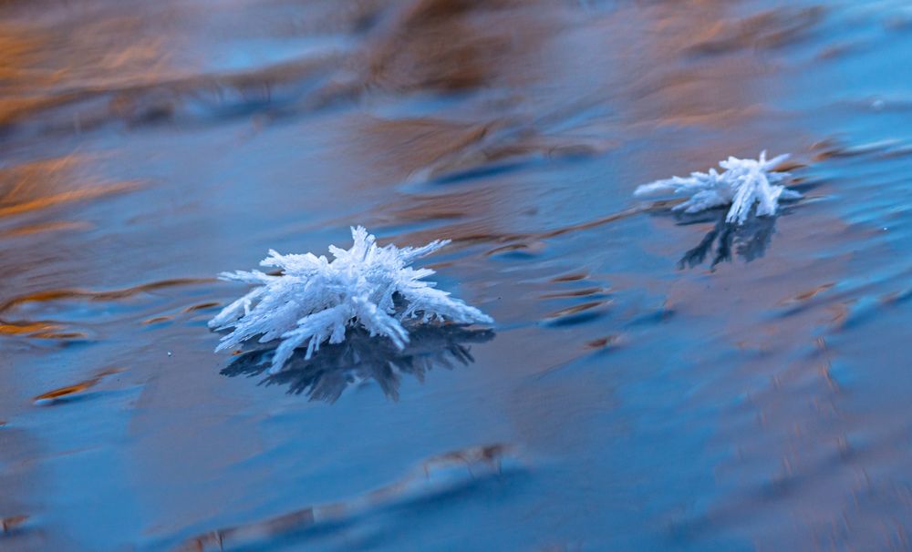Photograph by Елена Гольдебаева