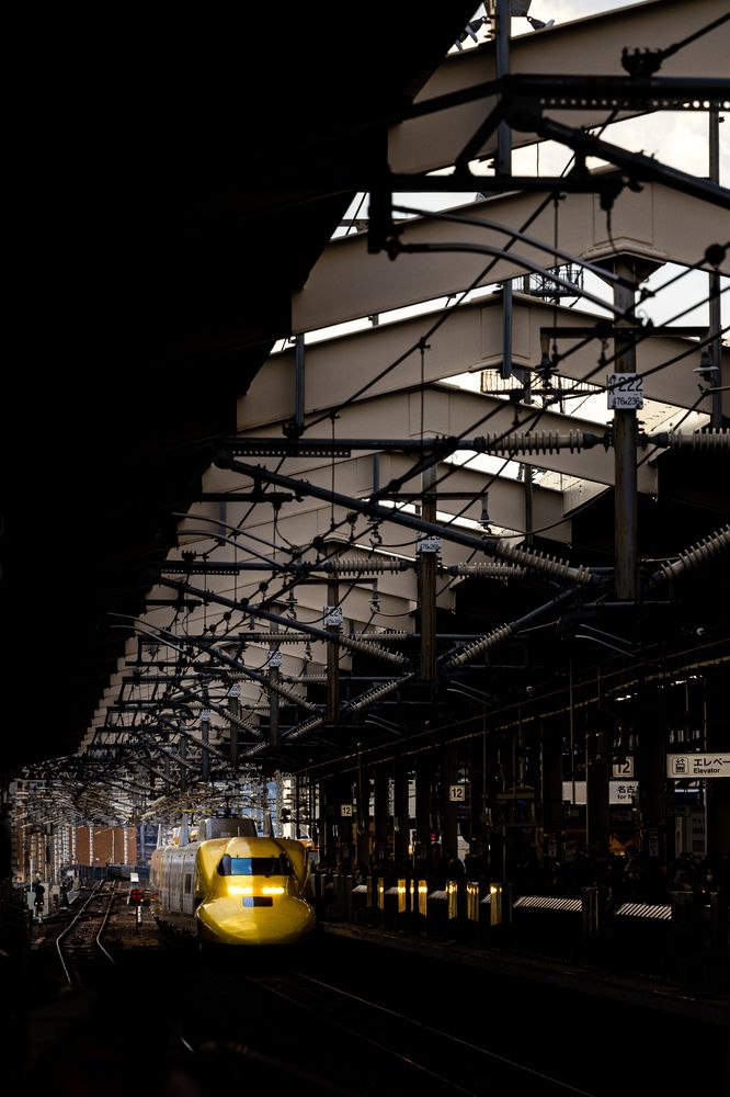 Photograph by Ikumi Taniguchi