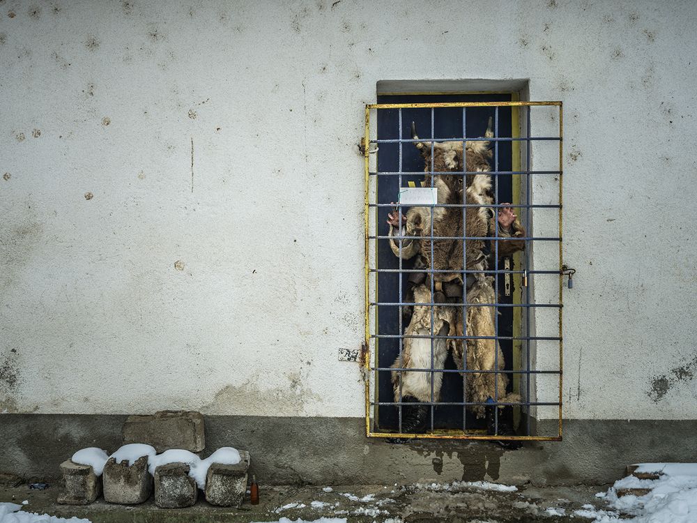 Photograph by Dzenat