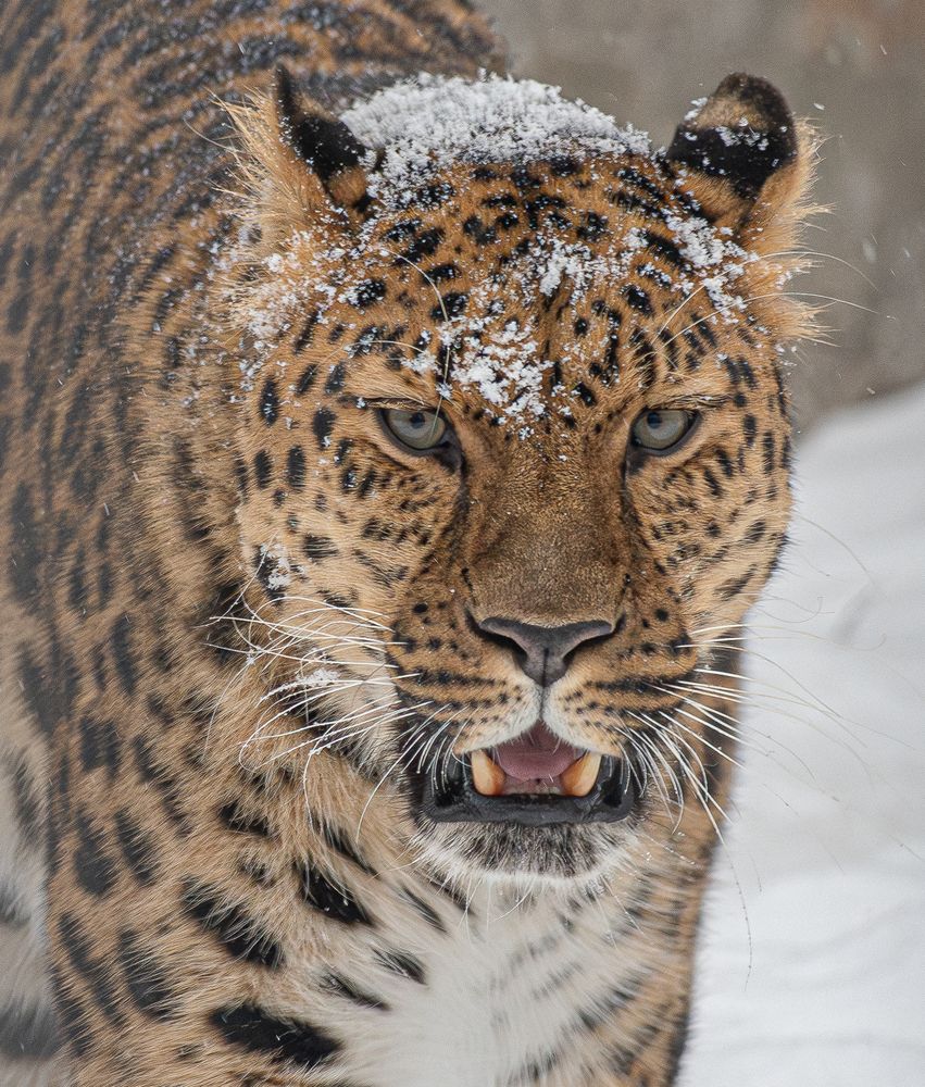 Photograph by Михаил Измайлов