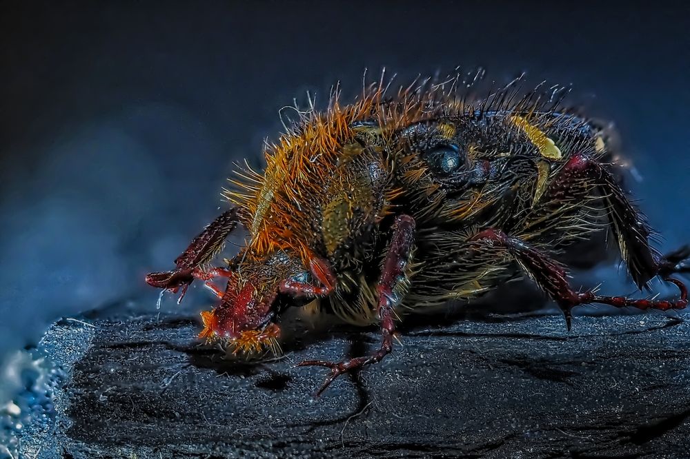 Photograph by Савчук Анатолий