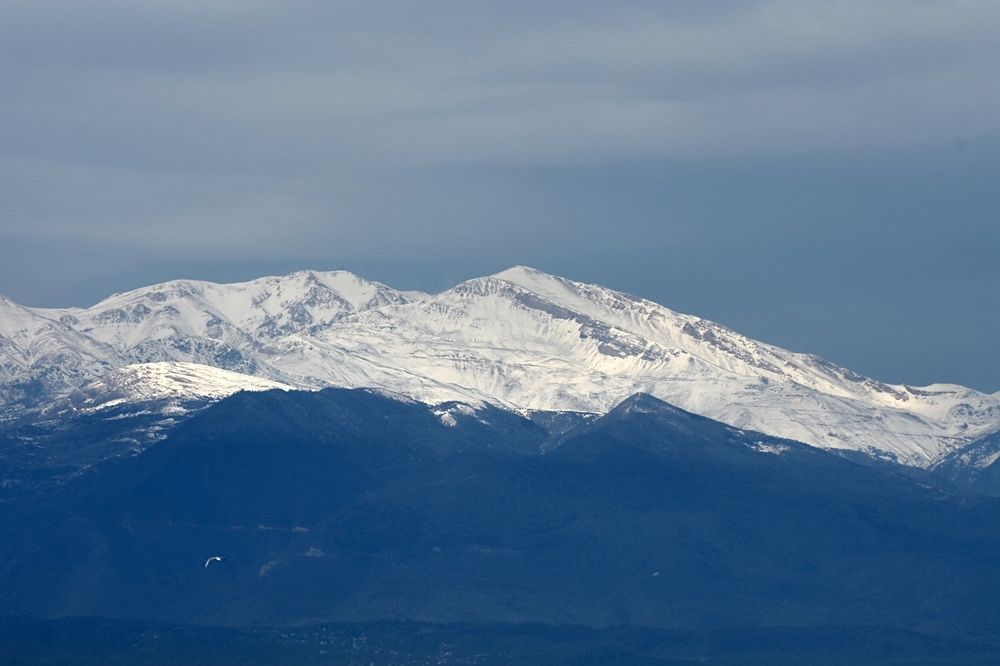 Photograph by roya razaghi