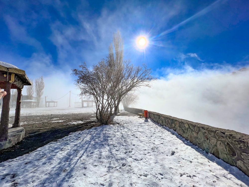 Photograph by roya razaghi