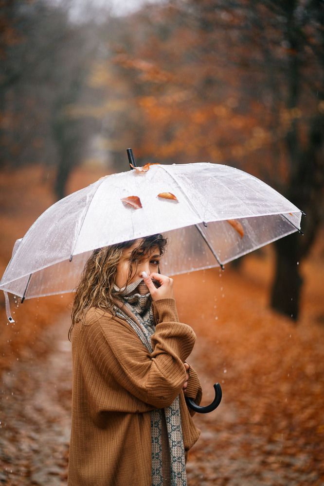 Фотография автора amin maleki