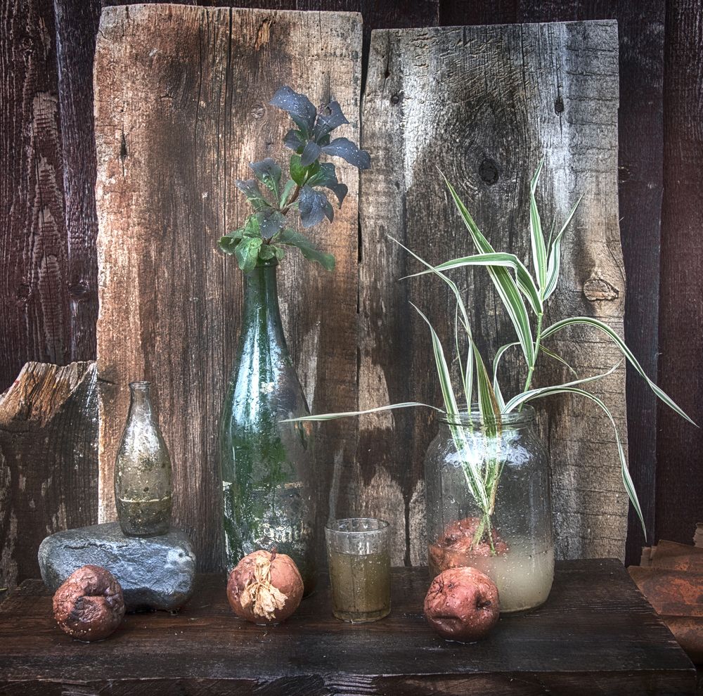 Photograph by Борис Кравецкий