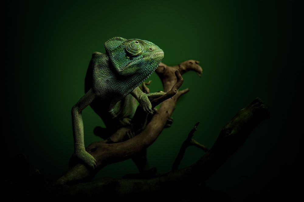 Фотография автора sherif Abdallah