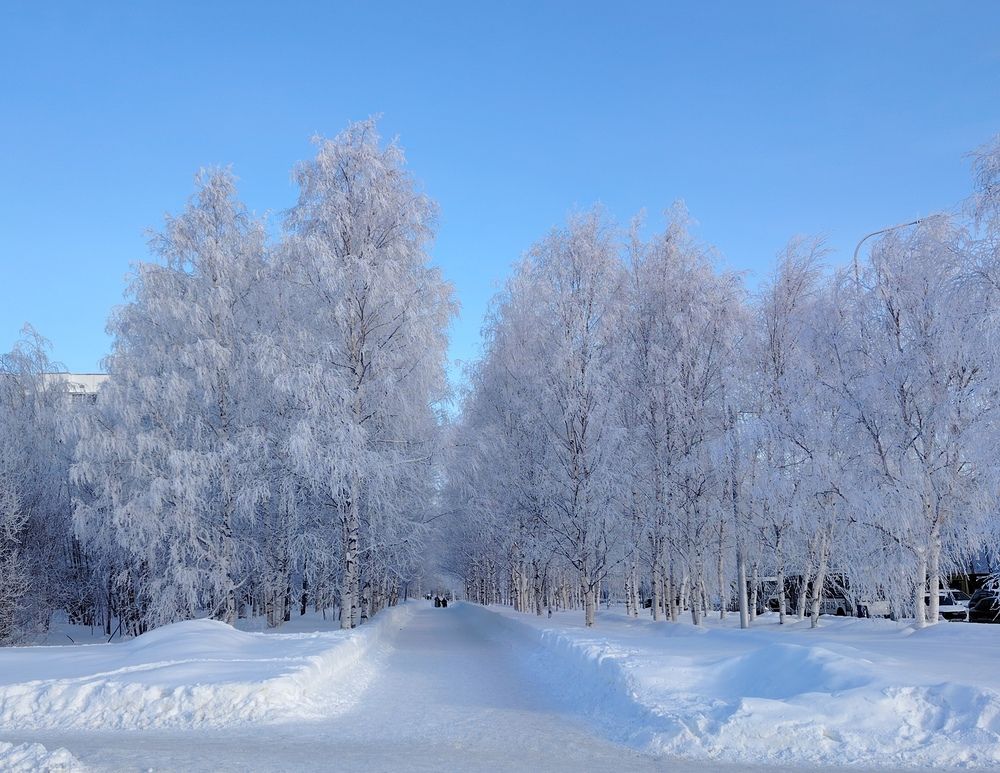 Photograph by Виталий Са