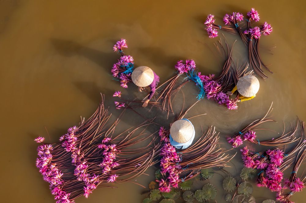 Photograph by Leduy Mai