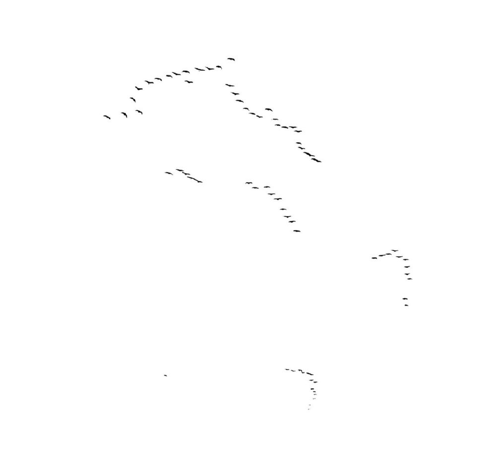 Направление - юг. Возьмите меня с собой!