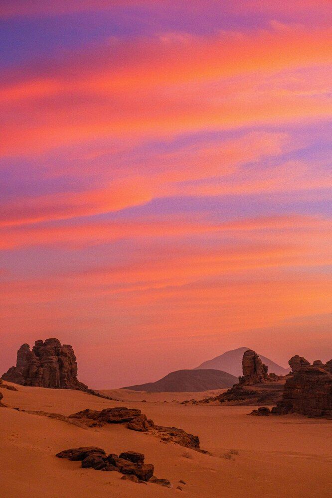 Фотография автора Maxine Noel