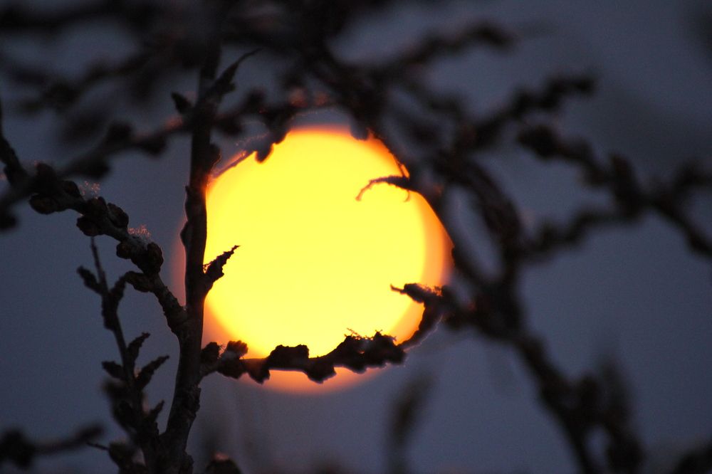 Photograph by Светлана Галкина