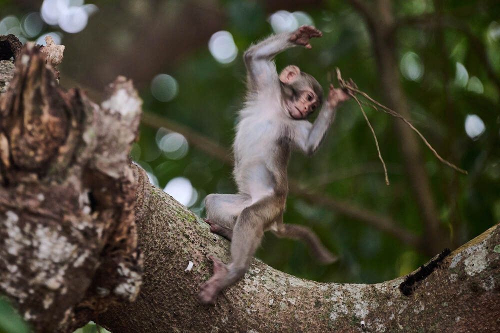 Error in calculations