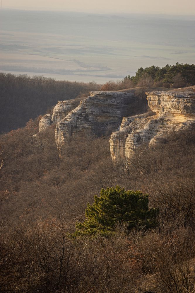 Фотография автора Евгений Петросян