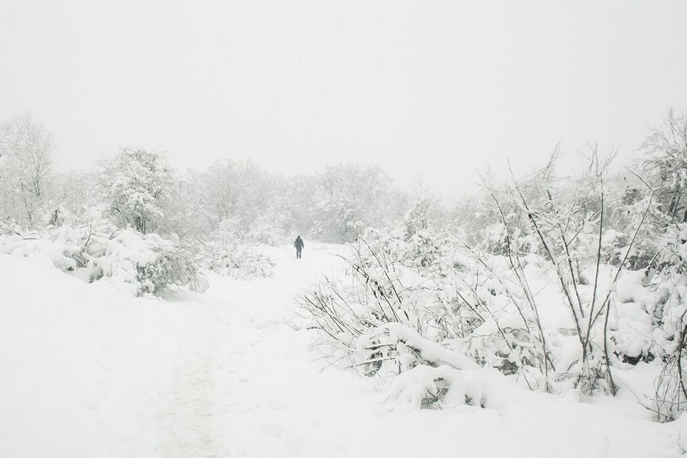 Photograph by Анна