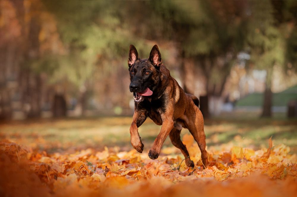 Photograph by Анна Кузнецова