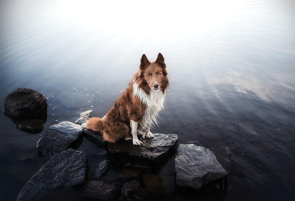 Photograph by Laura Quintanel