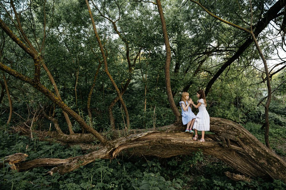 Photograph by Полина Родинс