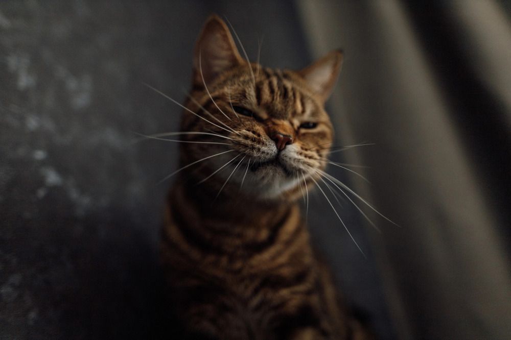 Photograph by Юлия Алексеева