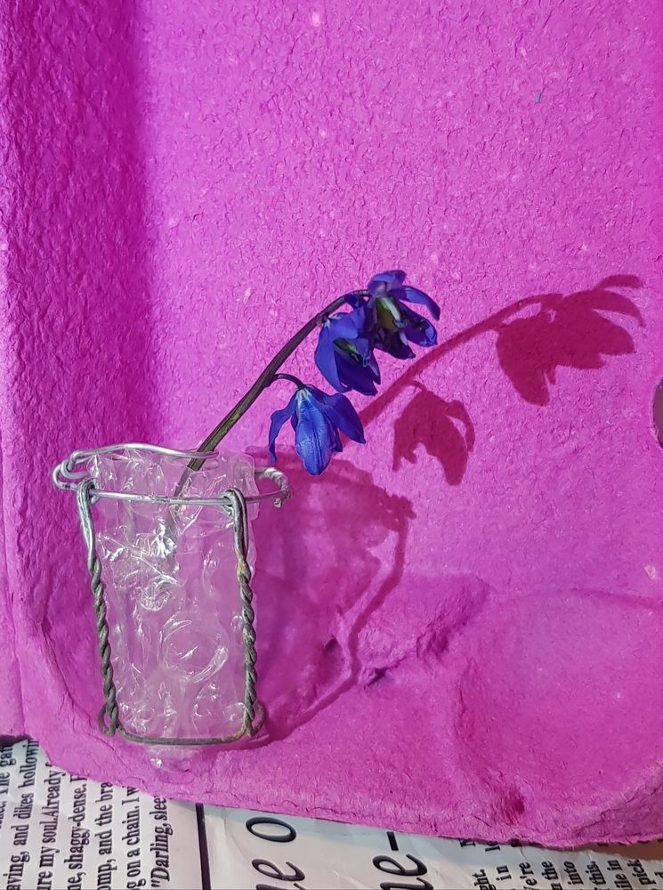 Photograph by Ольга Пумочка-13