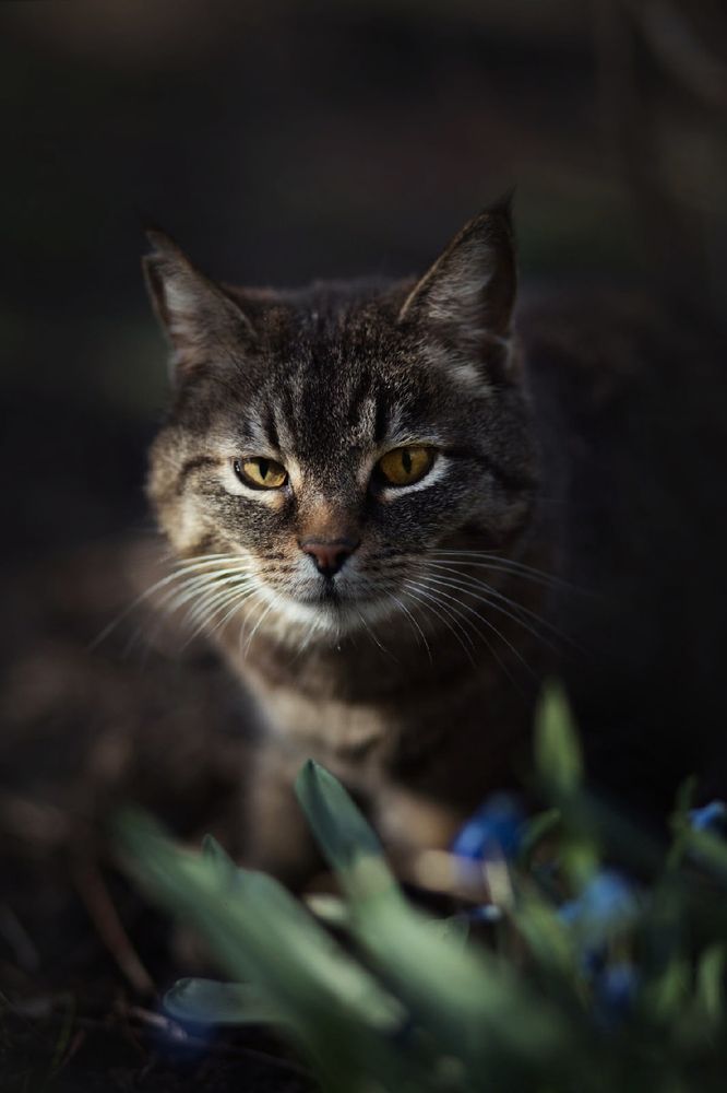 Photograph by Людмила Потапочкина