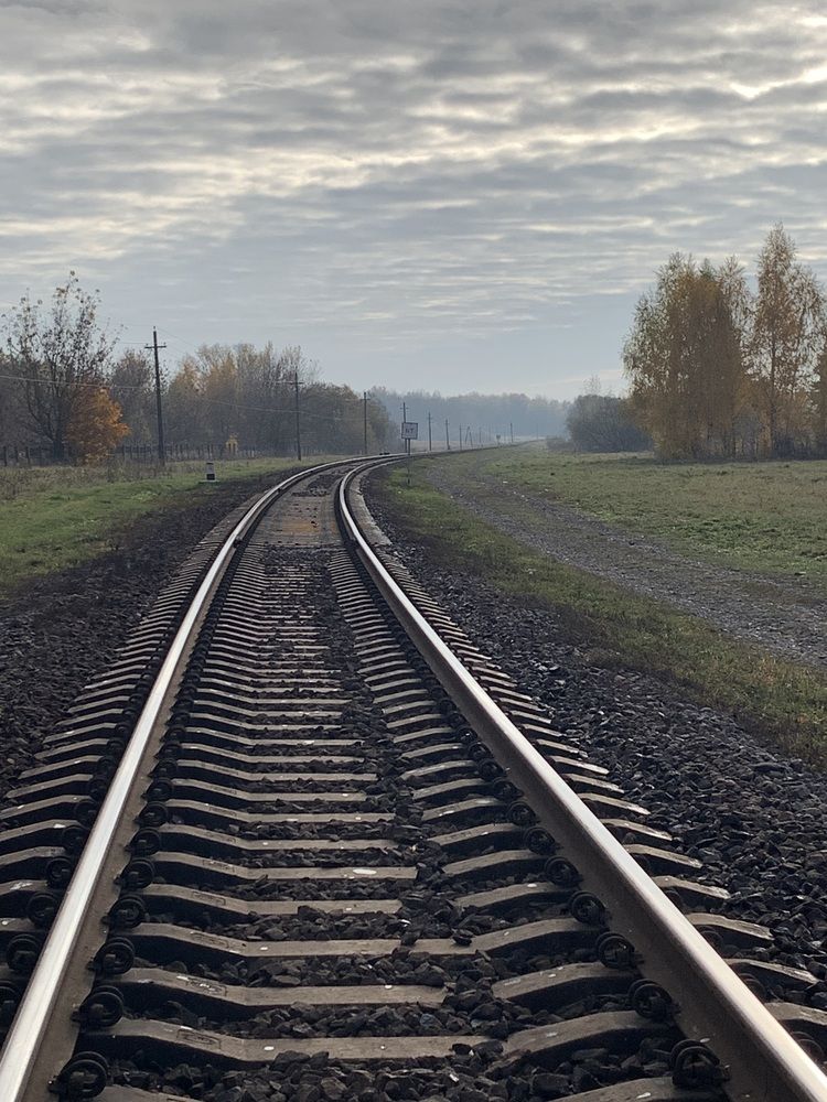 Фотография автора Ирина Шпаковская