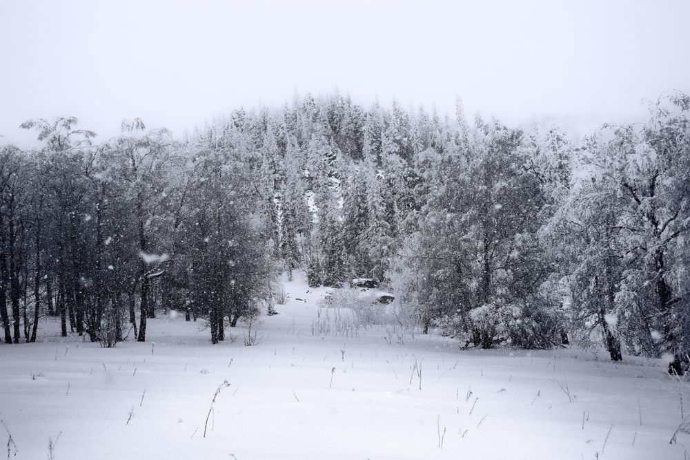 Снегопад в горах...