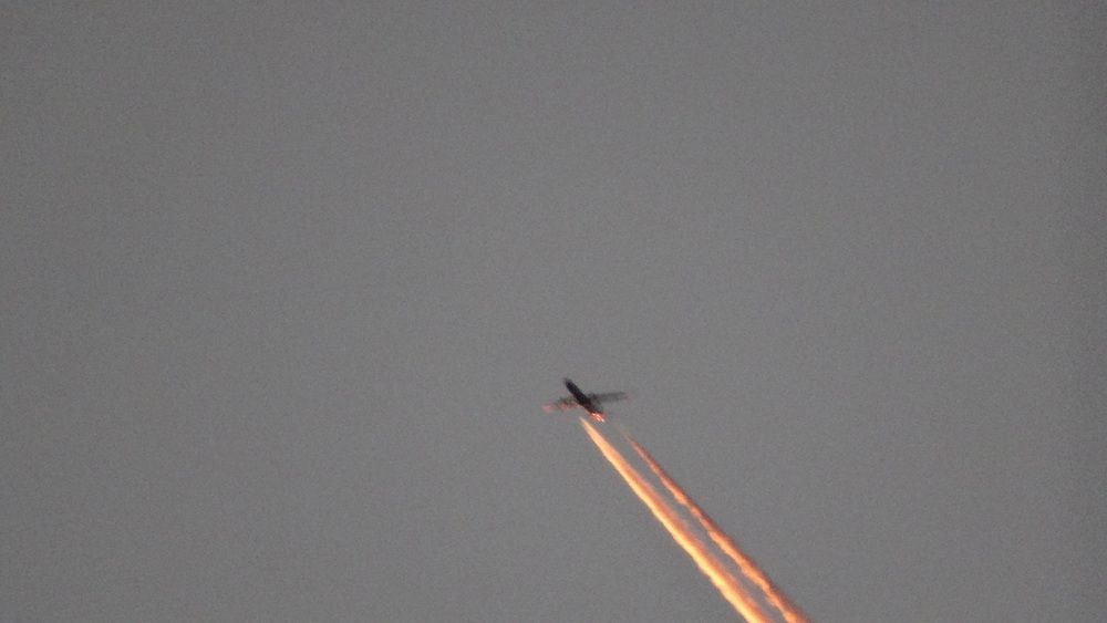 Photograph by Светлана Выдрова